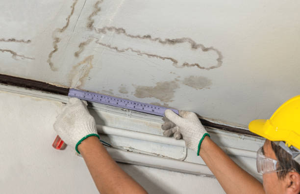 Reliable Water Removal contractor in Hanson, MA by Water Damage Irwin